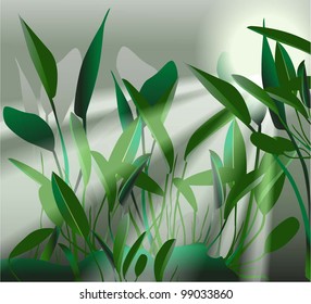 tropical plants (vector drawing nature)