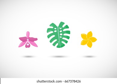 Tropical plants vector flat icons set, Flat design of orchid, monstera leaf and plumeria flower with round shadow isolated on the white background, vector illustration