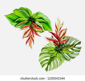 Tropical plants. Vector illustration.