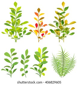 Tropical plants vector illustration.