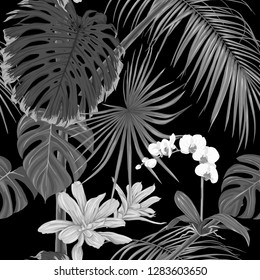 Tropical plants and white orchid flowers. Seamless pattern, background. Vector illustration. In monochrome gray colors