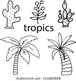 Tropical plants.A set of illustrations with palm trees and cacti .Doodles ,vector,black and white illustration,coloring book for adults and children.