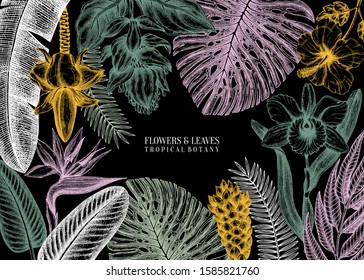 Tropical plats frame design. With hand drawn exotic flowers and palm leaves sketches. Tropical wedding invitation or card template.  Exotic plants vintage background. Vector botanical illustration.