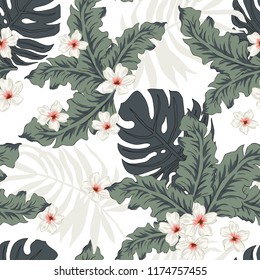 Tropical plumeria flowers and gray palm leaves, white background. Vector seamless pattern. Jungle foliage illustration. Exotic plants. Summer beach floral design. Paradise nature