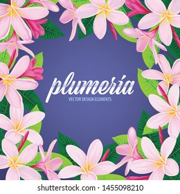 Tropical plumeria flowers and leaves background. Vector set of exotic tropical floral for wedding invitations and greeting card design.