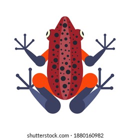 Tropical poison dart frog icon. Stylized geometric poisonous amphibian with brightly colored body. Red and orange spotted toad with blue legs.