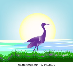 Tropical Poster Background design concept