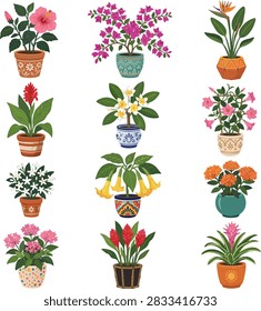 Tropical potted plants vector illustration set featuring hibiscus, frangipani, bougainvillea, bird of paradise, and bromeliad in ornamental pots.