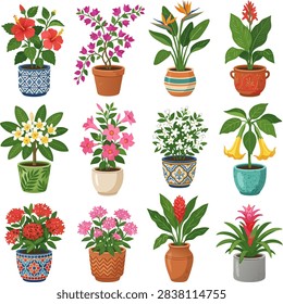 Tropical potted plants vector set featuring blooming hibiscus, bougainvillea, bird of paradise, plumeria frangipani, ixora, jasmine, and bromeliad in decorative ceramic pots. Flat botanical vector collection isolated on white background.
