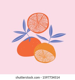 Tropical print with grapefruit in pop art colors Summer fruit poster. Vector bright citrus print for t-shirt. Whole fruit and slices.