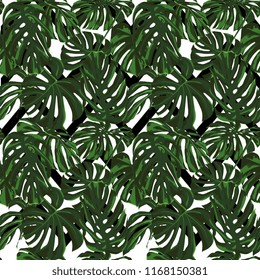 Tropical Print. Jungle Seamless Pattern. Vector Tropic Summer Motif with Hawaiian Flowers. Interior Design
Swimwear Design. 
 
