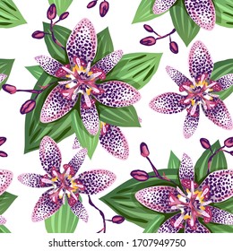 Tropical print. Lily floral pattern. Tricyrtis exotic plant. Summer background. Garden texture. Purple tropic flowers vector illustration