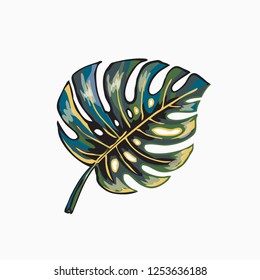 Tropical print. Palm leaf isolated on white background. Monstera palm plant