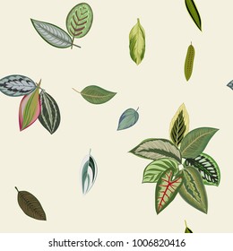 Tropical print. Seamless pattern. Vintage organic leaves.