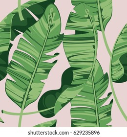 Tropical print summer exotic plant. Banana leaves. Pattern, seamless floral vector. Nature wallpaper.