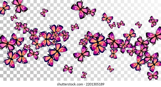Tropical purple butterflies abstract vector illustration. Spring colorful insects. Fancy butterflies abstract kids wallpaper. Tender wings moths patten. Fragile creatures.