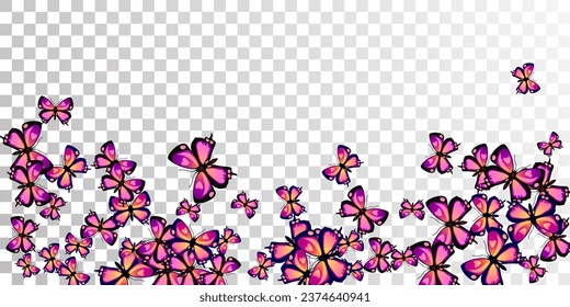 Tropical purple butterflies isolated vector wallpaper. Spring vivid insects. Fancy butterflies isolated kids background. Tender wings moths patten. Tropical creatures.