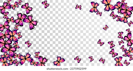 Mariposas púrpuras tropicales aisladas de papel tapiz vectorial. Bellas polillas de verano. Unas mariposas brillantes aislaron el fondo del bebé. Delicadas alas insectos diseño gráfico. Criaturas del jardín.