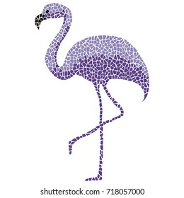 Tropical purple flamingo bird on white background. Vector isolated modern fashion template.
