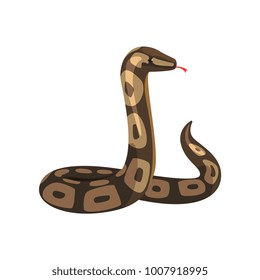 Tropical python pythonidae with tongue out. Large non-venomous dark-colored royal snake. Wild serpent. Exotic pet. Wildlife concept. Cartoon flat vector design