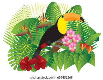 Tropical Rain Forest  Jungle Plants with Leaves Flowers and Toucan Bird Isolated on White Background Color vector Illustration