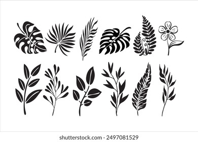 Tropical rain forest leaf set vector hand drawing 