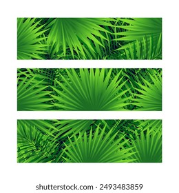 tropical rainforest background. Amazon foliage vector wallpaper with close up tropic leaves, jungle plants and grass. Summer card for t shirts print, apparel, textile, beauty and fashion designs.