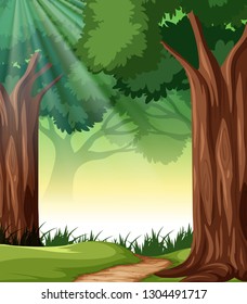 A tropical rainforest background illustration