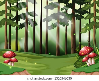 A tropical rainforest background illustration