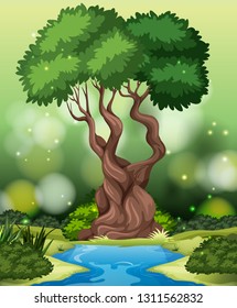 Ein tropischer Regenwaldhintergrund, Vektorgrafik