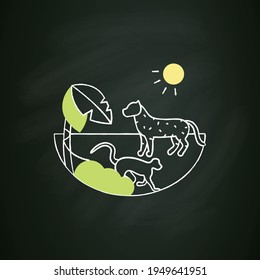 Tropical rainforest chalk icon.Humid and warm place.Located near the equator.Living place for dangerous animals like jaguar and monkeys. Isolated vector illustration on chalkboad