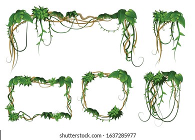 Tropical rain-forest climbing liana vine lush green leaves decorative arrangements rectangular circulair cartoon frames vector illustration 