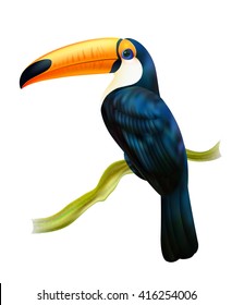 Tropical rainforest fauna toucan bird sitting on a twig colorful realistic image with white background vector illustration 