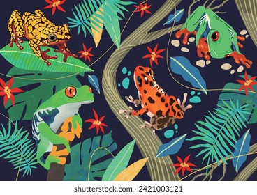 Tropical rainforest frog illustration background