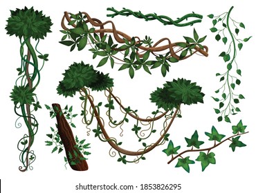 Plantas tropicales de escalada de vegetación de selva tropical lianas gemidas elementos realistas con hiedra hedera vectorial 