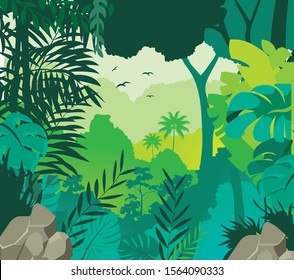 Tropical Rainforest with mountain vector