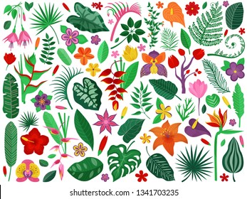 Tropical rainforest plants set. Cartoon exotic flowers and leaves with floral branches. Botanical illustration with exotic plant, wildflowers, brazil tropic flora, Hawaiian paradise botany elements.
