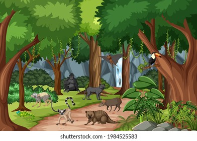 Tropical rainforest scene with various wild animals illustration