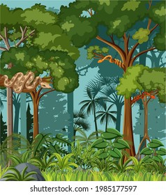 Tropical rainforest scene with various wild animals illustration