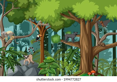 Tropical Rainforest Scene With Various Wild Animals Illustration