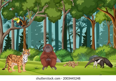 Tropical rainforest scene with various wild animals illustration