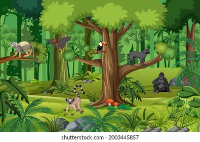 Tropical rainforest scene with various wild animals illustration