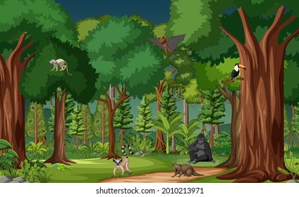 Tropical rainforest scene with various wild animals illustration