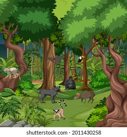 Tropical rainforest scene with various wild animals illustration