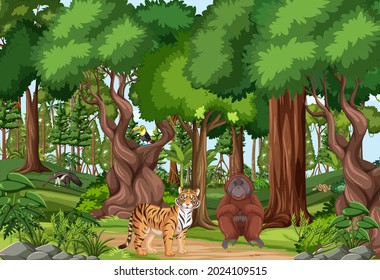 Tropical rainforest scene with various wild animals illustration