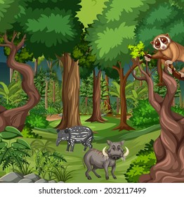 Tropical rainforest scene with various wild animals illustration