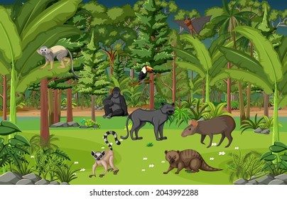 Tropical rainforest scene with various wild animals illustration