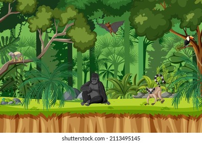 Tropical rainforest scene with various wild animals illustration