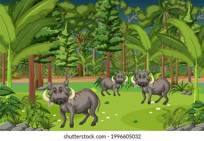 Tropical rainforest scene with warthog family illustration