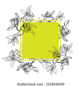 Tropical rectangular square frame with orchids, ink hand drawn flowers on white background, vector illustration, template for banner, greeting card, invitation design, cosmetics' packaging
